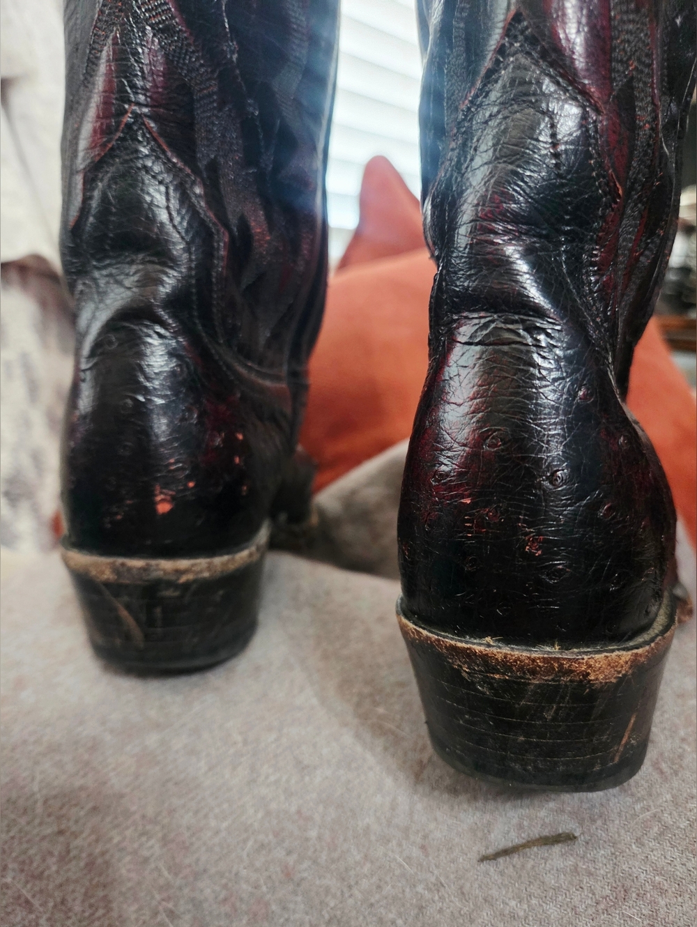 Lucchese Classic 2000 Full Quill Ostrich leather in a Black Cherry. - Picture 10 of 11